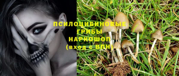 apvp Балахна