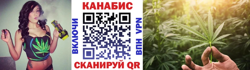 Бошки марихуана сатива Сортавала